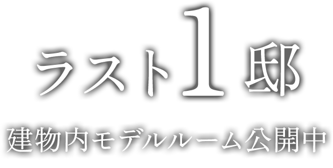 ラスト1邸
